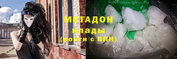 хмурый Аркадак