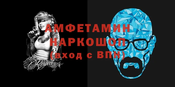 хмурый Аркадак
