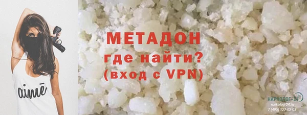 хмурый Аркадак