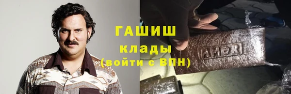 хмурый Аркадак