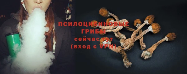 сатива Арсеньев
