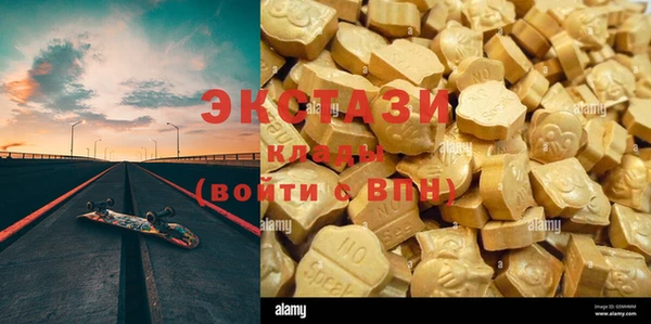 хмурый Аркадак